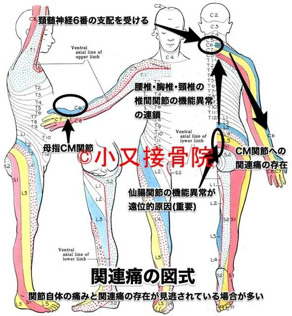 病院