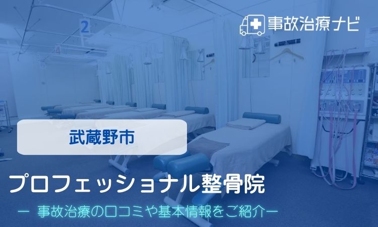 プロフェッショナル整骨院　交通事故治療