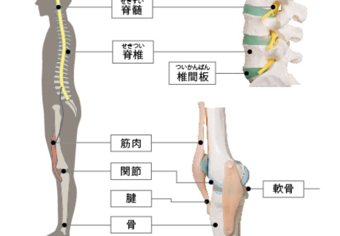 病院