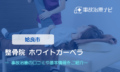 整骨院 ホワイトガーベラ　交通事故治療