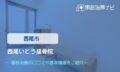 西尾いとう接骨院　交通事故治療