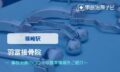 羽富接骨院　交通事故治療