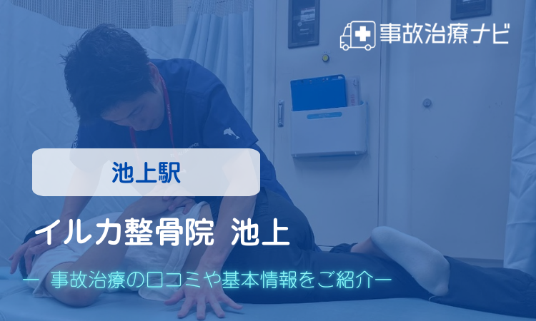 イルカ整骨院 池上 交通事故治療
