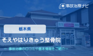 そえやはりきゅう整骨院　交通事故治療
