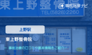 東上野整骨院　交通事故治療