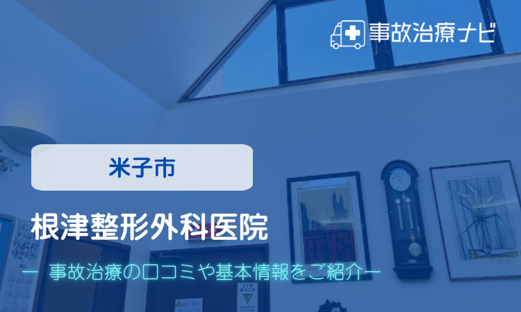 根津整形外科医院 交通事故治療