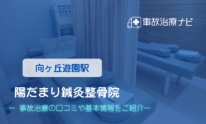 陽だまり鍼灸整骨院 　交通事故治療