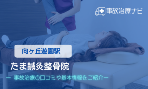 向ヶ丘遊園駅　交通事故治療