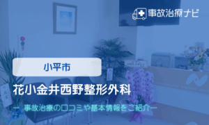 花小金井西野整形外科　交通事故治療