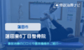 蓮田東6丁目整骨院　交通事故治療