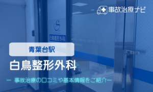白鳥整形外科　交通事故治療