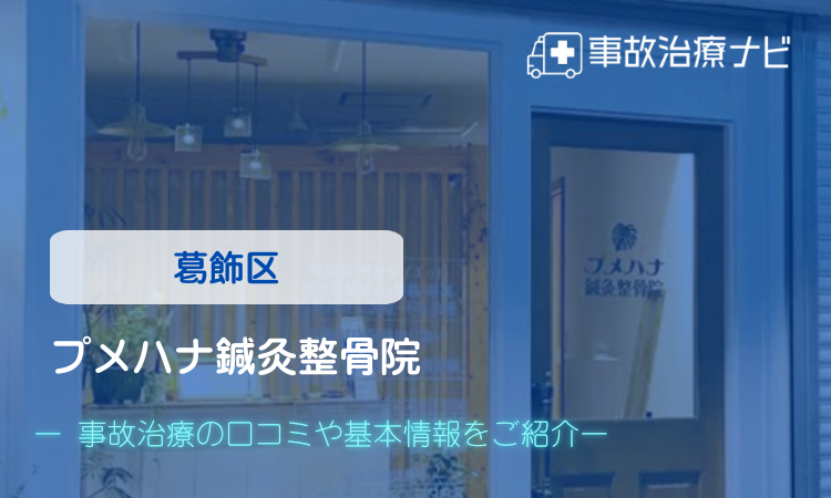 プメハナ鍼灸整骨院 交通事故治療