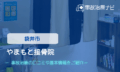 やまもと接骨院　交通事故治療